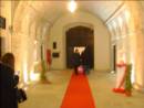 Palazzo Caputi aperto al Pubbl (WxH) - Palazzo Caputi aperto al Pubblico 