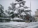 Neve (800Wx594H) - Nevicata 