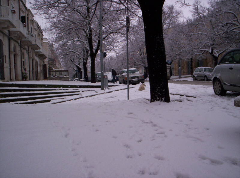 Download Neve (800Wx594H)