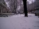 Pictures: Neve