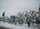 Neve (800Wx594H) - Nevicata 