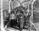 Giornata della Memoria, Medaglie d'Onore in ricordo dei deportati a Pescara e Chieti. Medaglia al ruvese Nicola Cantatore nato a Ruvo di Puglia