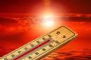 Ondata di calore. Allerta  livello 3