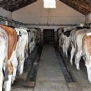ALLA SCOPERTA  DI MASSERIA COPPE